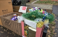 Díszben a fenyő a Barátság városrészben is