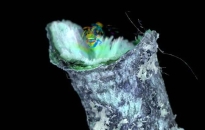 ICA-D: Martinkó Márk "Felülírt protokoll"-ja