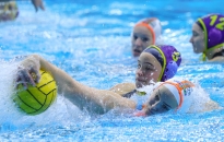 Bravúros sikerrel búcsúzott az évtől a DFVE Bravúros sikerrel búcsúzott az évtől a DFVE