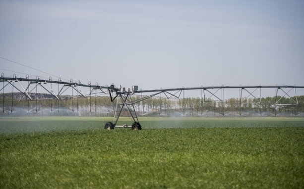 Továbbra is ki tudják elégíteni a mezőgazdasági vízigényeket
