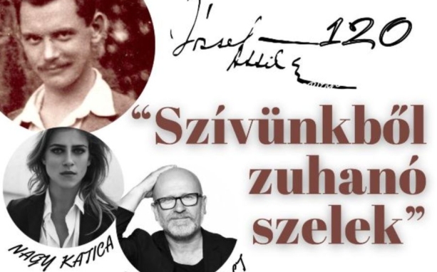 Betegség miatt elmarad a könyvtári "szívzuhanás"