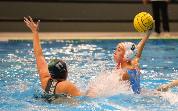 A sereghajtóhoz látogat a DFVE