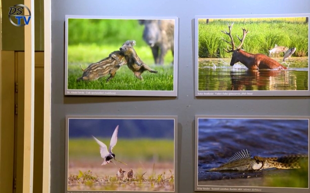 DSTV: ezer szín a Bartók aulájában DSTV: ezer szín a Bartók aulájában