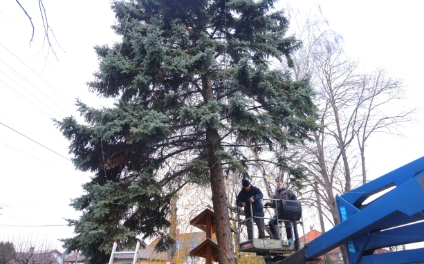 Hagyományos ünnepi díszítés Újtelepen Hagyományos ünnepi díszítés Újtelepen