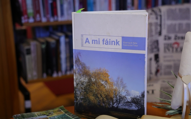 Értékőrzés a könyvtár közreműködésével Értékőrzés a könyvtár közreműködésével