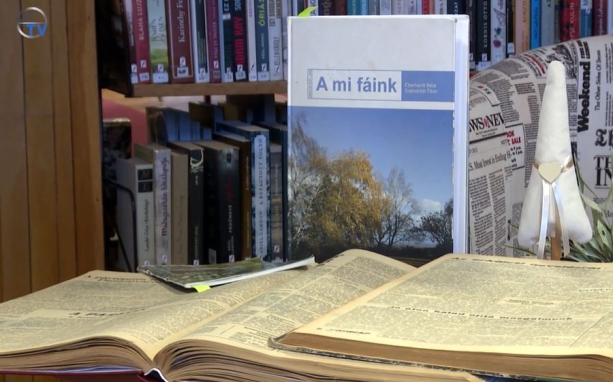 DSTV: zöld értékekről a könyvtárban DSTV: zöld értékekről a könyvtárban