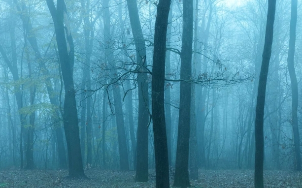 Folytatódik a párás, borús, de viszonylag enyhe idő