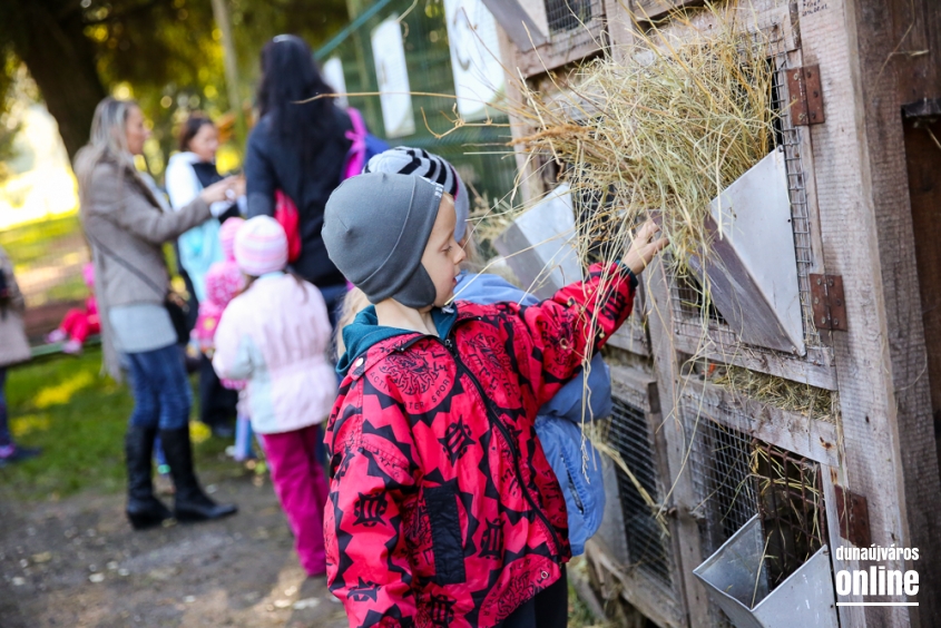 Állatok Világnapja- Ovisok az Arborétumban - fotó: Ónodi Zoltán