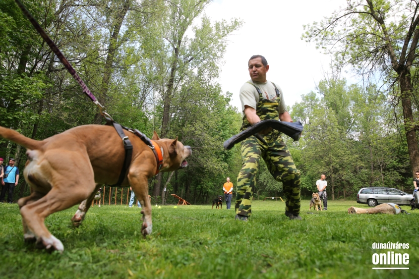 Duna Dog Center kutyiskola születésnapja - fotó: Ónodi Zoltán