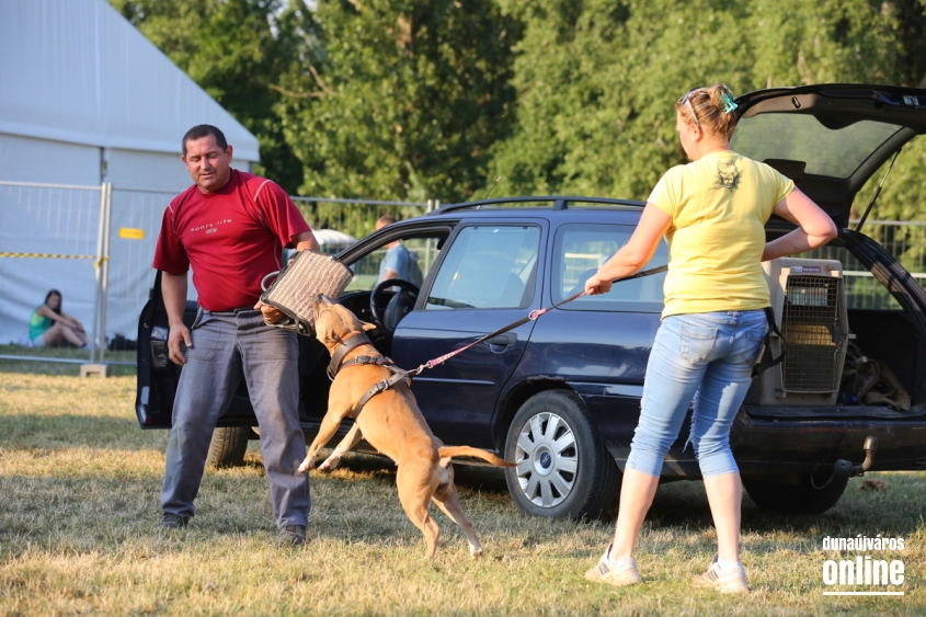 DUDIK- Őrző- védő szituációs bemutató - fotó: Ónodi Zoltán