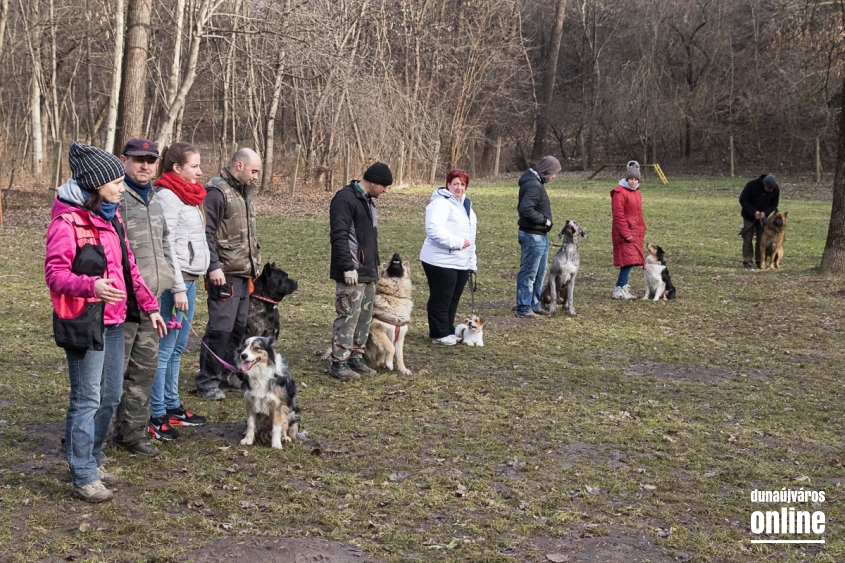 Nyílt nap a Duna Dog Center Kutyaiskolában - fotó: Ónodi Zoltán