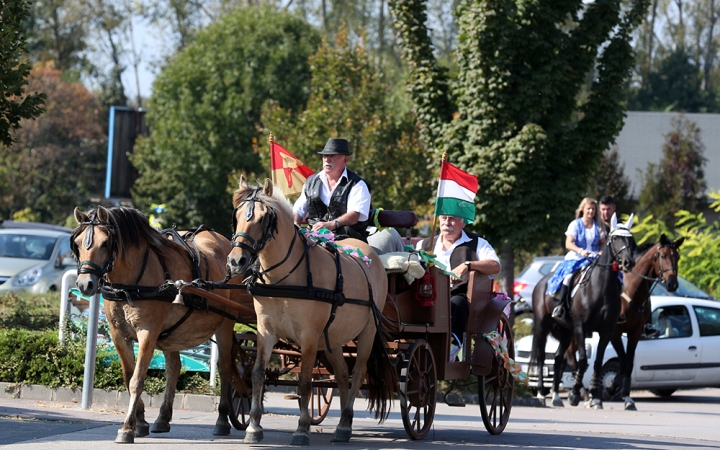 Szüreti felvonulás 2016 - fotó: 