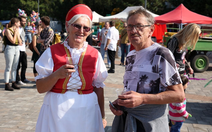 Szüreti felvonulás 2016 - fotó: 