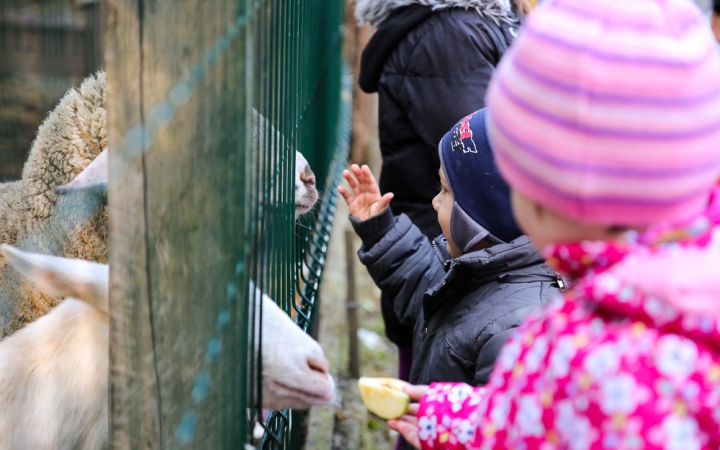 Állatok Világnapja- Ovisok az Arborétumban - fotó: Ónodi Zoltán