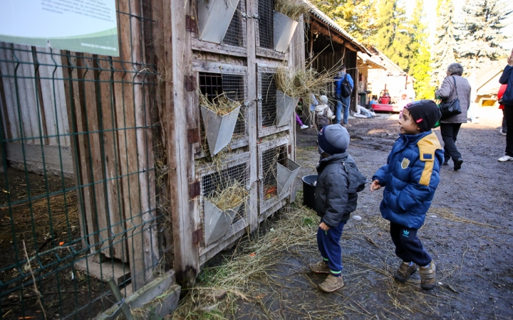 Állatok Világnapja- Ovisok az Arborétumban - fotó: Ónodi Zoltán