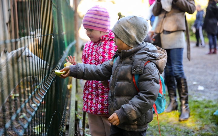 Állatok Világnapja- Ovisok az Arborétumban - fotó: Ónodi Zoltán