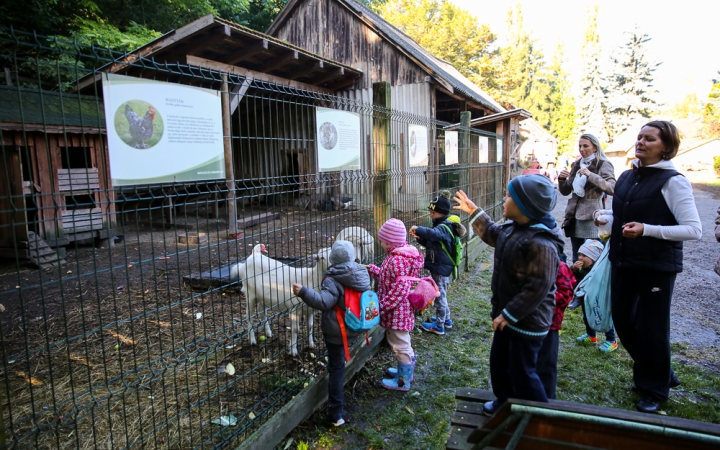 Állatok Világnapja- Ovisok az Arborétumban - fotó: Ónodi Zoltán