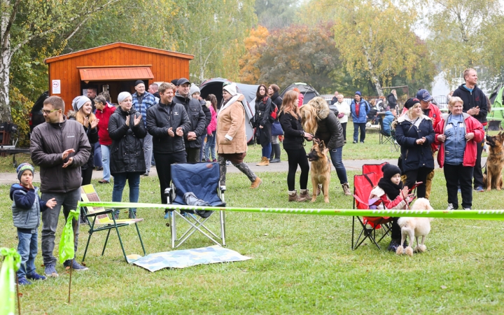 Nemzetközi CAC Kutyabemutató a kempingben - fotó: Ónodi Zoltán