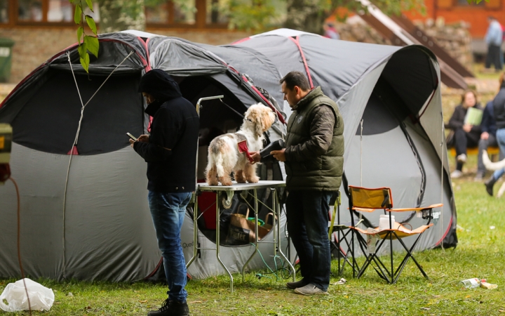 Nemzetközi CAC Kutyabemutató a kempingben - fotó: Ónodi Zoltán