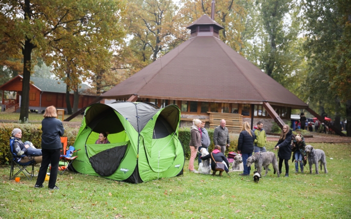 Nemzetközi CAC Kutyabemutató a kempingben - fotó: Ónodi Zoltán