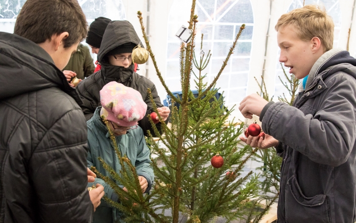 Karácsonyfa díszítés - fotó: Ónodi Zoltán