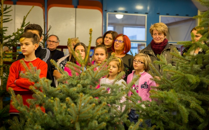 Karácsonyfa díszítők versenye - fotó: Ónodi Zoltán