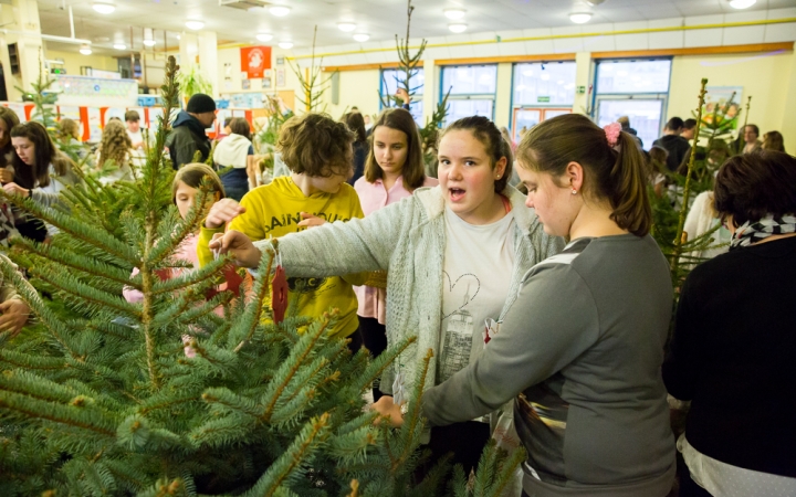 Karácsonyfa díszítők versenye - fotó: Ónodi Zoltán