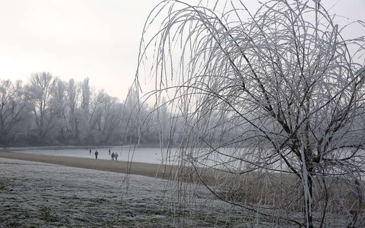 Téli képek városunkról - fotó: Sándor Judit