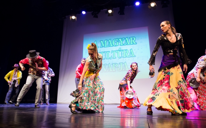 Pro Cultura Intercisae-díj 2017 - fotó: Ónodi Zoltán