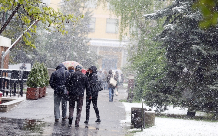 Hull a pelyhes áprilisi hó...  - fotó: Sándor Judit