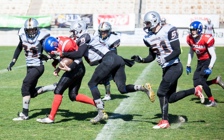 Gorillaz - Steelers 14-27 - fotó: Ónodi Zoltán