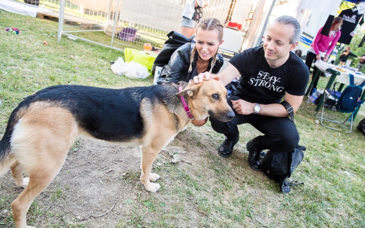 Rockmaraton 2017 - Harmadik nap - fotó: Ónodi Zoltán