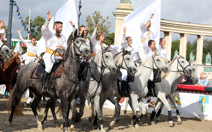 Nemzeti Vágta 2017 - fotó: Sándor Judit