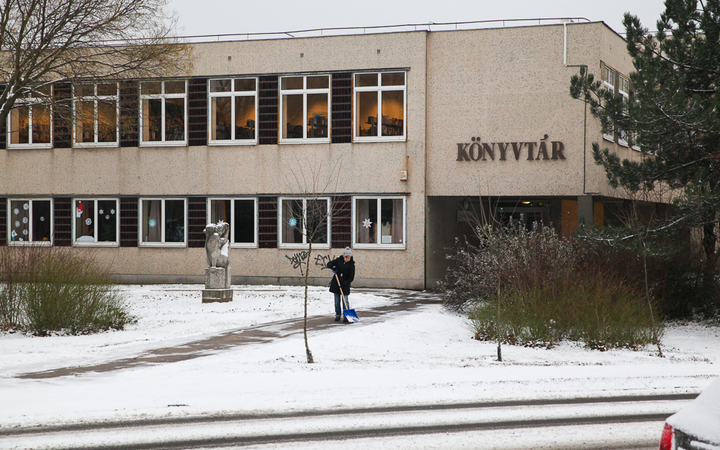 Havas Dunaújváros (2018) - fotó: Ónodi Zoltán
