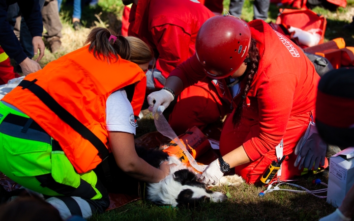 Vöröskeresztes gyakorlat a Szalki-szigeten - fotó: Ónodi Zoltán