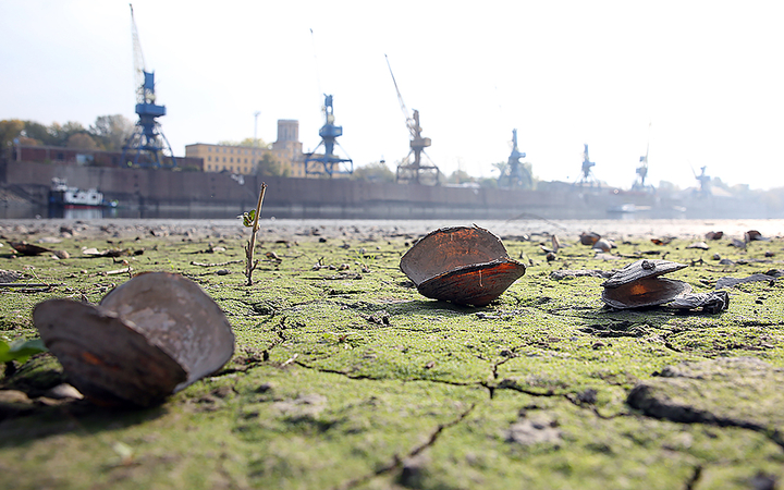 A Duna vízszintje városunknál - fotó: Sándor Judit