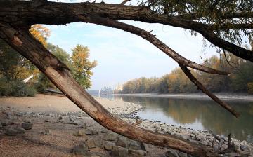A Duna vízszintje városunknál - fotó: Sándor Judit