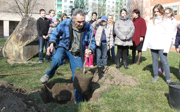 Öko-nap a Petőfiben - fotó: Sándor Judit
