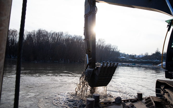 Mederkotrás az öbölben - fotó: Ónodi Zoltán