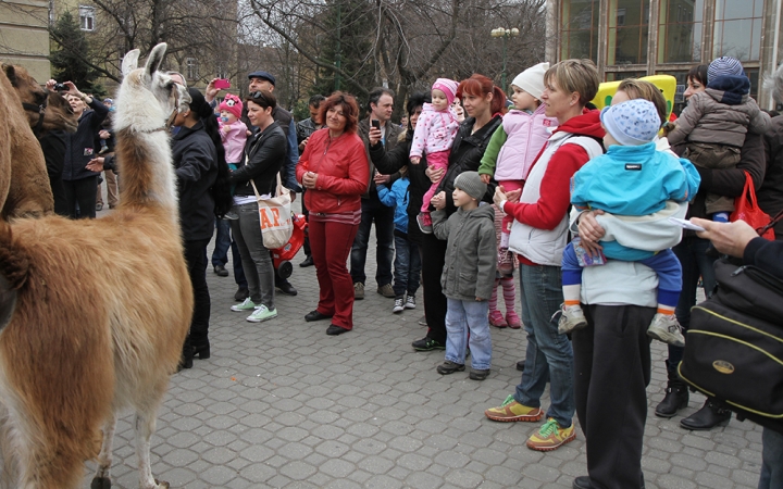 Amerika Park Dunaújvárosban! - fotó: Sándor Judit