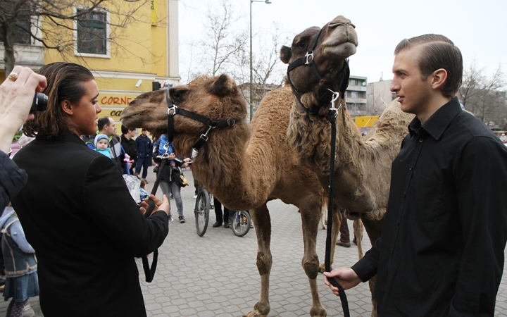 Amerika Park Dunaújvárosban! - fotó: Sándor Judit