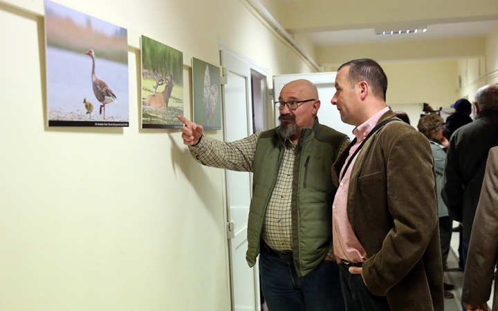 Természetfotók tárlata az MMK-ban - fotó: Sándor Judit