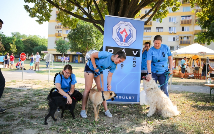 Városrészi Nap 2019 - fotó: Ónodi Zoltán