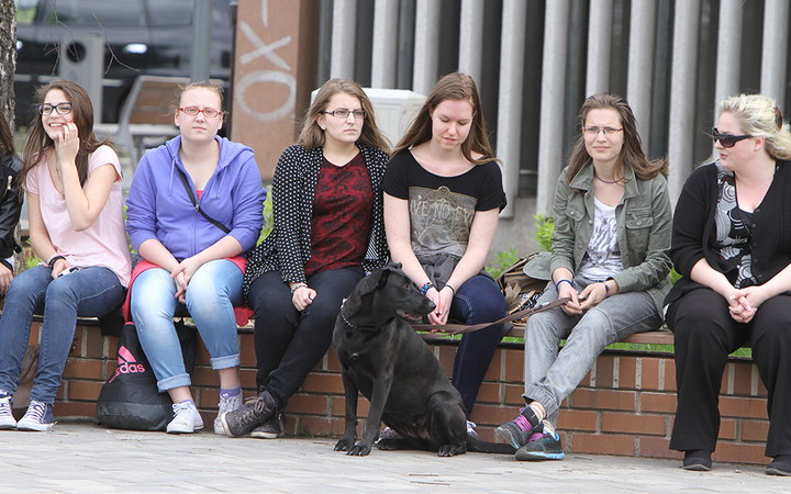 Háromszáz tehetség - fotó: Sándor Judit