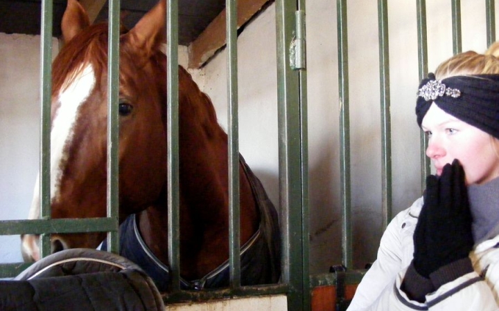 Nyitott karácsonyi lovasnap - fotó: 