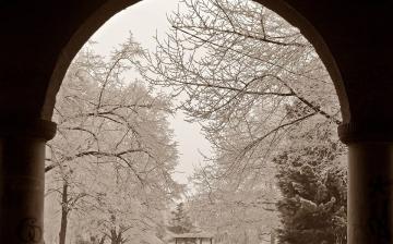Könnyű séta a hófehérbe öltözött városban - fotó: 