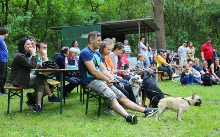 Duna Dog Center kutyiskola születésnapja - fotó: Ónodi Zoltán
