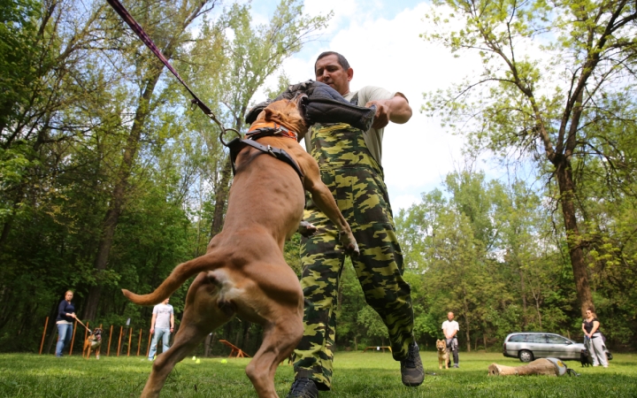 Duna Dog Center kutyiskola születésnapja - fotó: Ónodi Zoltán