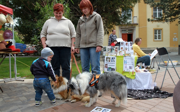 Májusi Mulatság 2015 - fotó: Sándor Judit