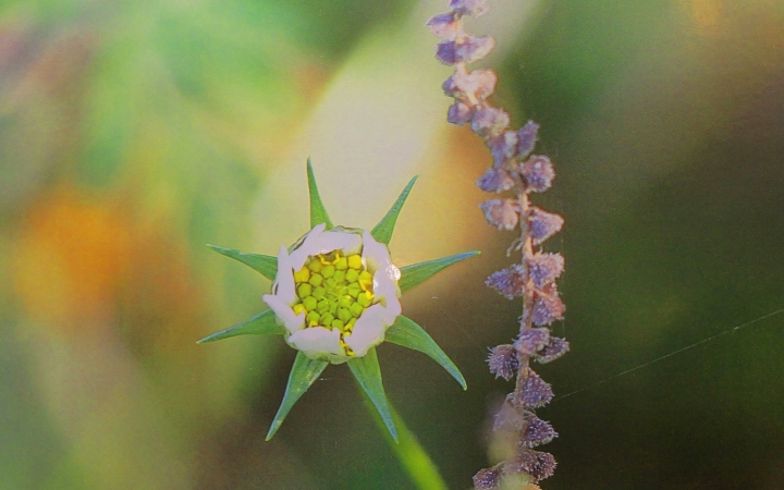 Kuruczné Gál Kriszta kiállítása a Bartókban - fotó: 